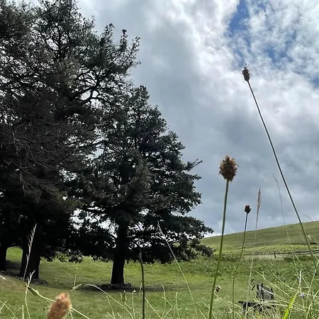 Breath Of The Dove