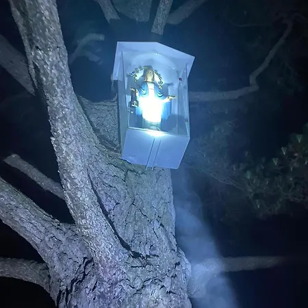 Breath Of The Dove Appartement Rionansa